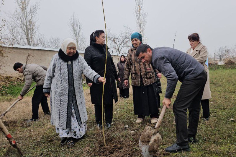 Qashqadaryo viloyati Oila va xotin-qizlar boshqarmasi