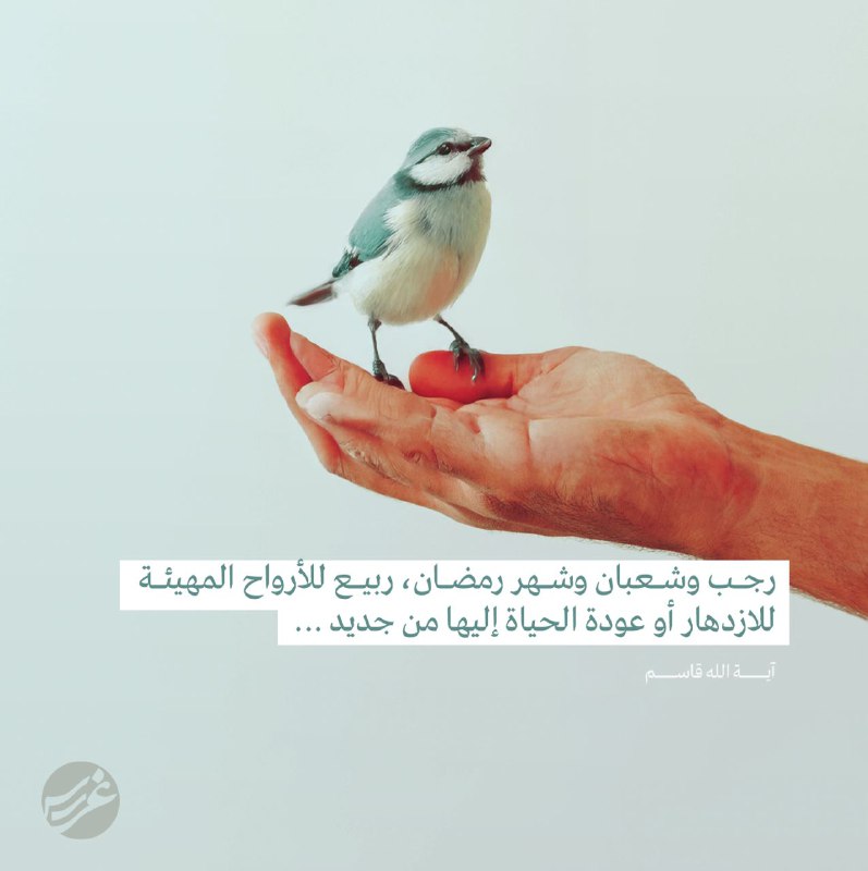 رجب وشعبان وشهر رمضان، ربيع للأرواح …