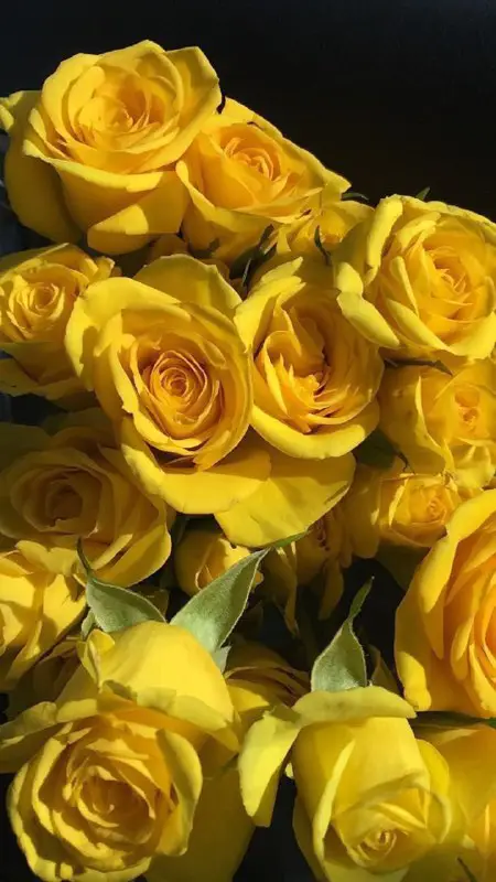 احساس انثى ??