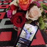🥀عآبــرون وآلدنيه ليسـت لنآ 🥀