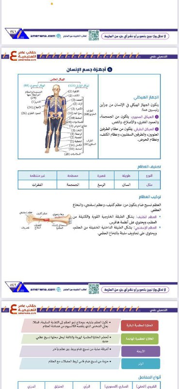 أسئلة القدرات والتحصيلي / عامر