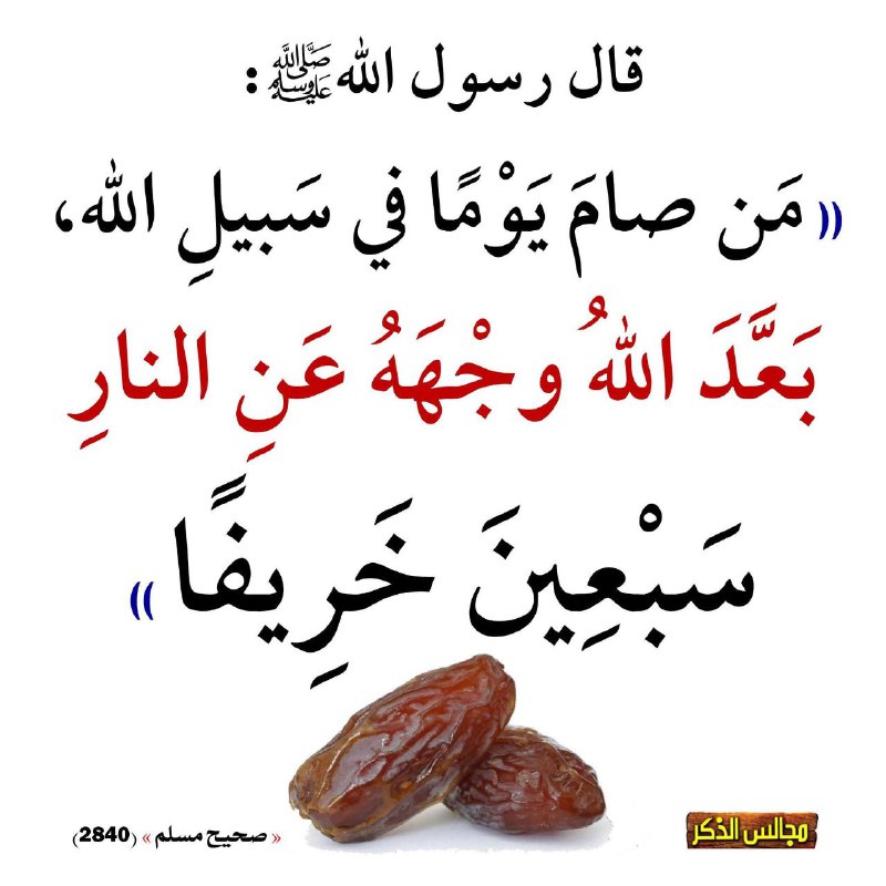 -عَقِيَـدَةُ أَهْلُ السُّنَّـةِ وَالجَمَاعَـةُ📚🌿.