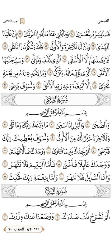 ‏القرآن هو أنيسُك الوحيد، احفظه، استمع …