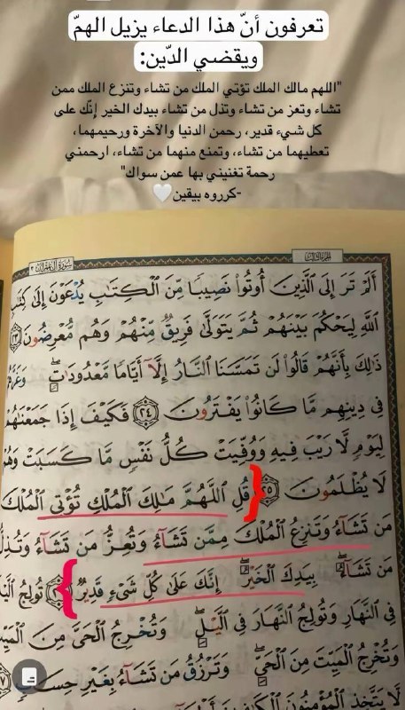 حَياة
