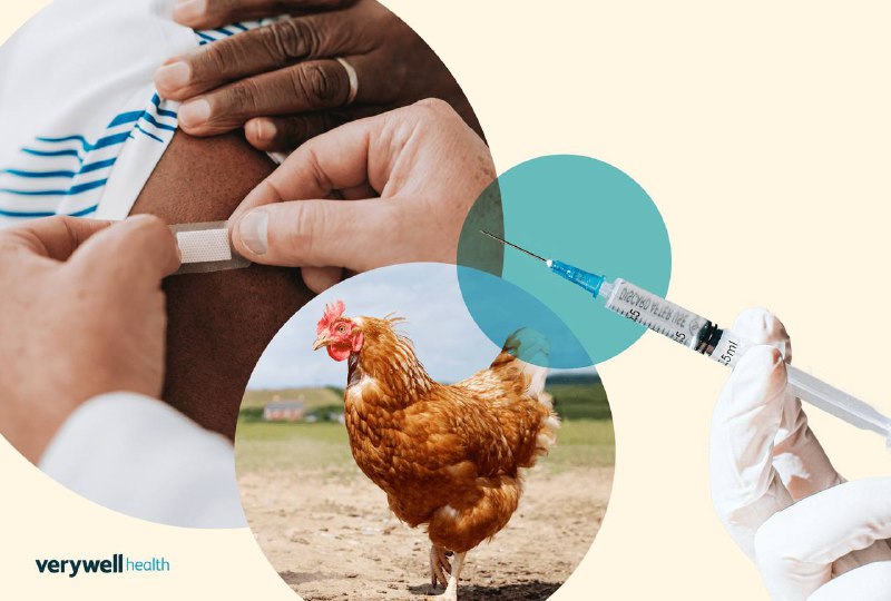 Vaccine stocks jump after U.S. bird …