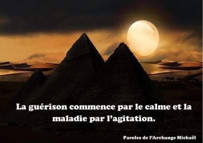 ***💫***Bonne soirée