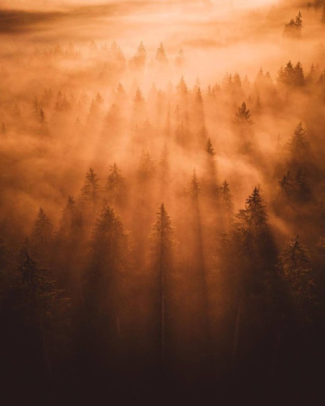 قمر🌓