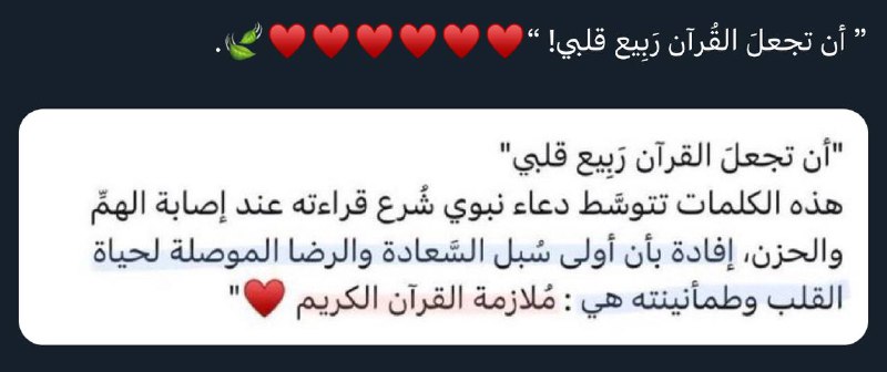 🧚🏻ــقُـطـفـه🤍✨