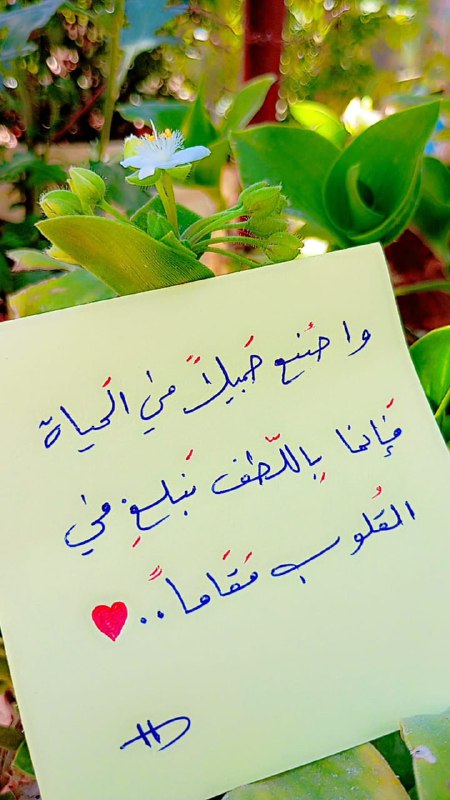 "أثَرّ جْمَيًلٌ قٰبـلٓ آلـرَحيّل"