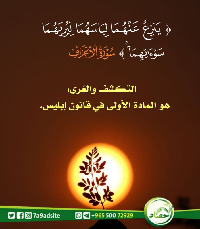 قناة 📖 قرأنا لك 📖