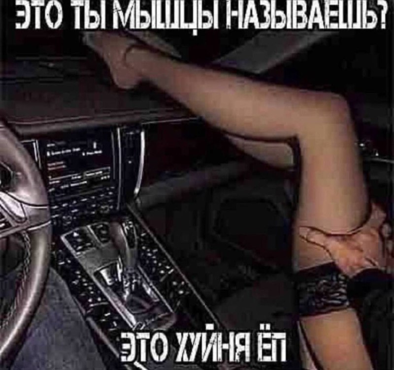 мёртвая тишина