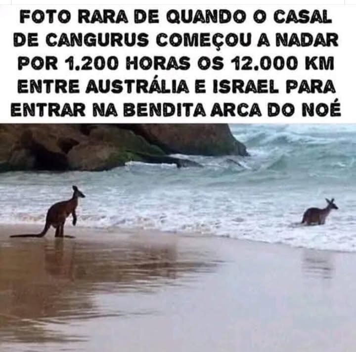 Migalhas filosóficas e literárias