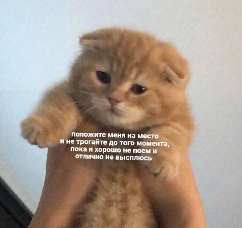 Quamemequa🤣