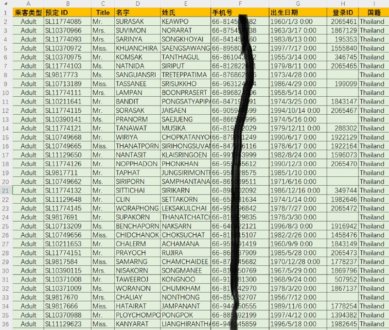 泰国国际航班乘客，泰国富人高消费人群，泰国上层社会人。全格式：乘客类型，飞机预定，性别，姓名，手机号，出生日期，登录ID，国籍。一手新鲜，一手源头