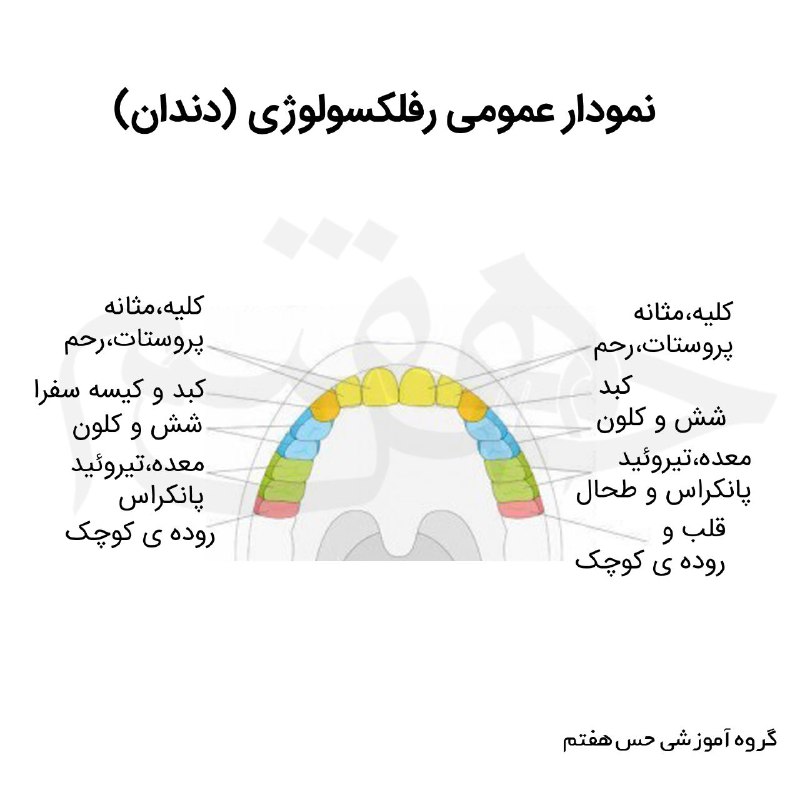 کلینیک تسکین درد {ایلخانی زاده}