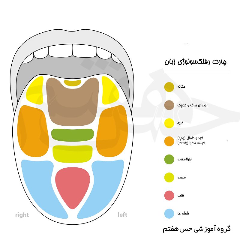 کلینیک تسکین درد {ایلخانی زاده}