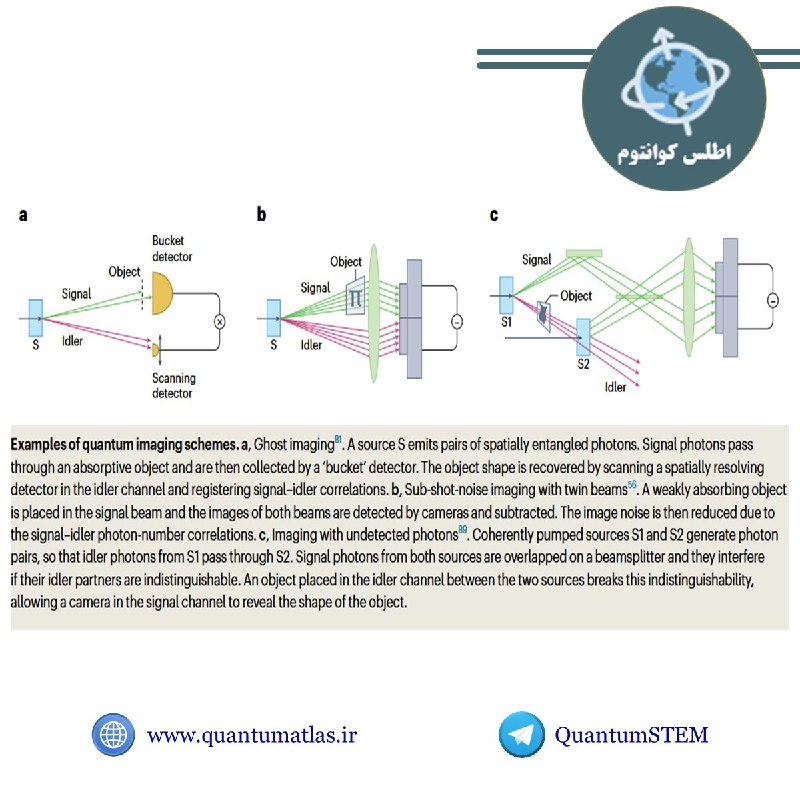 ***?***معرفی مقاله مروری