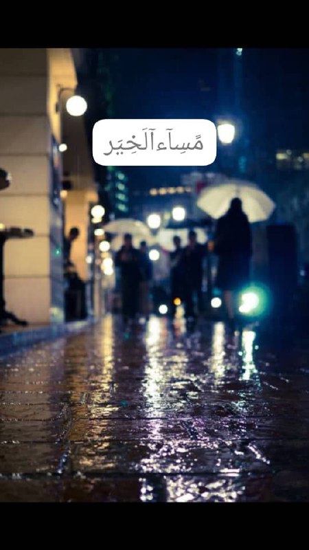 ***❤️******?***مساءالخير***?******❤️***