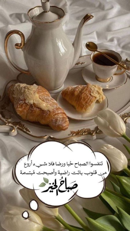 يَنسابُ نورُ الصُّبحِ في أعماقِنا
