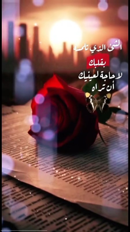 ***❤️******❤️***مساءالخير***❤️******❤️***