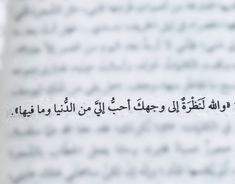 ياصاحب الزمان