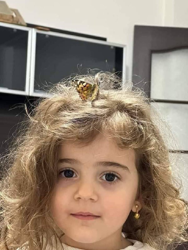 ***🦋******🦋***".