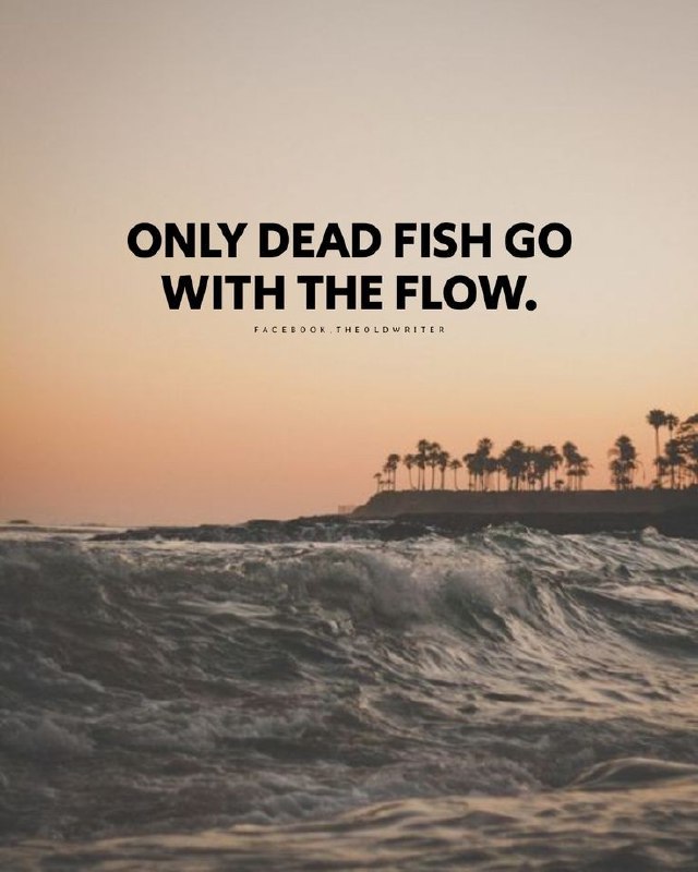 ONLY DEAD FISH GO WITH THE …