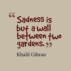 "Sadness is but a wall between …