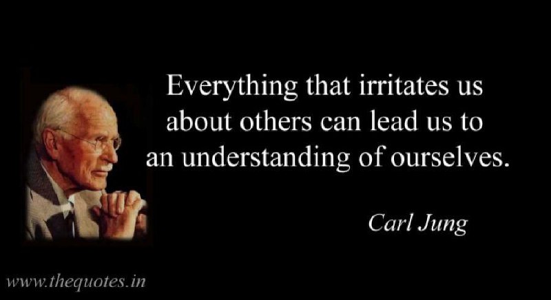 "Everything that irritates us about others …