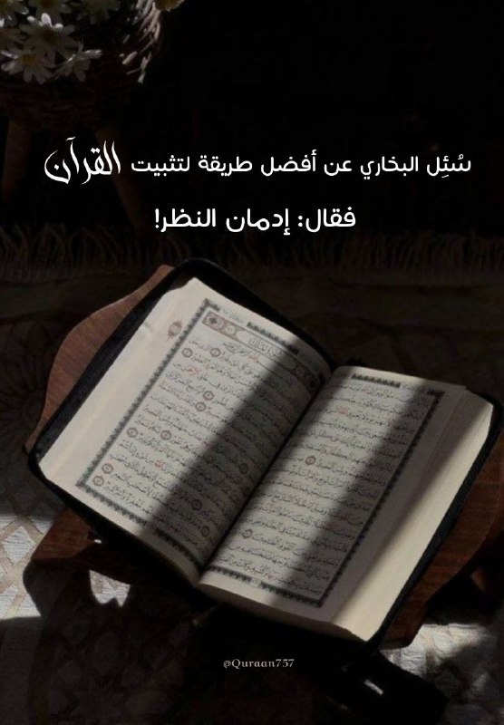 هاشمِيَّـات ?