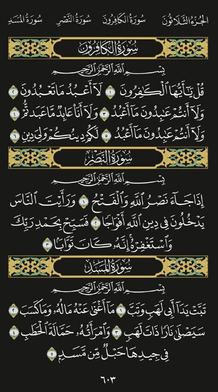 القرآن الكريم🌸