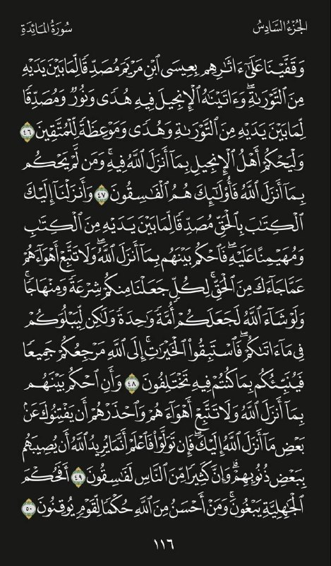 القرآن الكريم🌸
