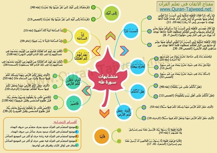 خمس طرق لترابط السورة