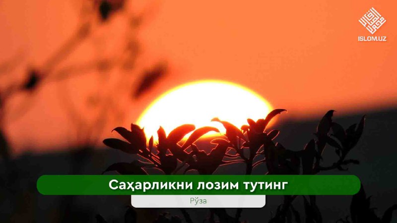 [#Рўза](?q=%23%D0%A0%D1%9E%D0%B7%D0%B0)