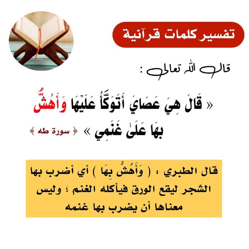 تفسير كلمات قرآنية ***✍🏼******📝***