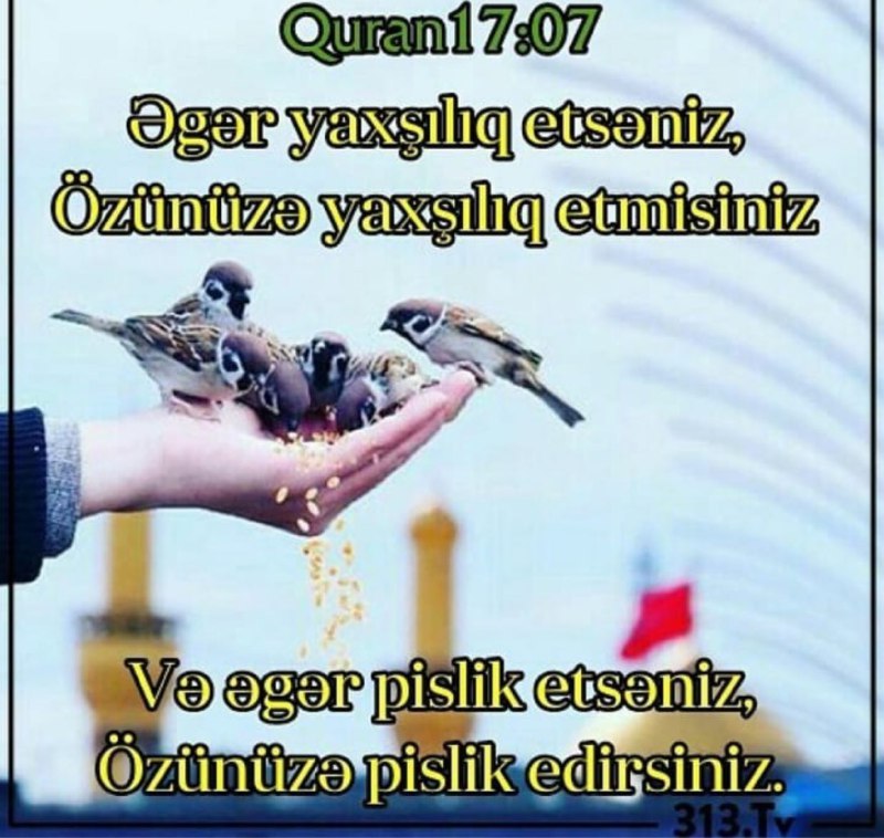 Quran Oxu