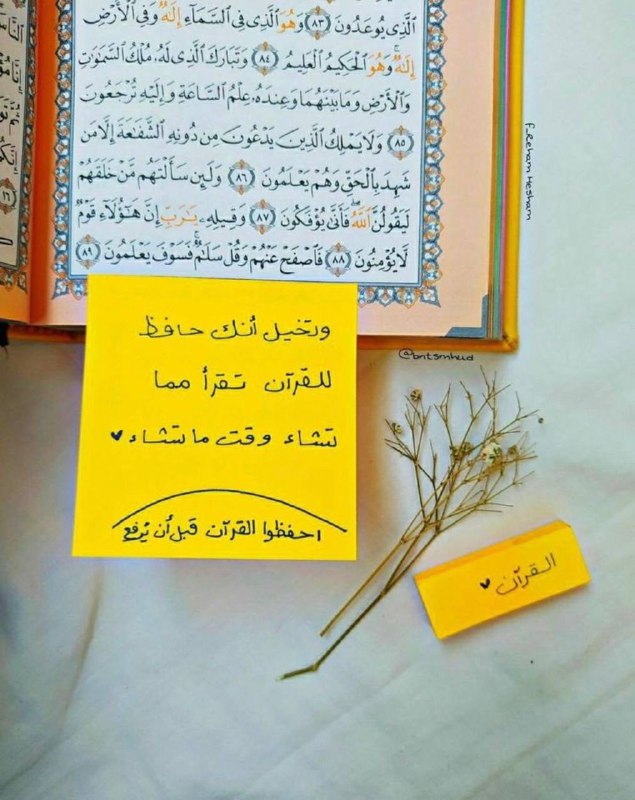 {عِبَارَاتٌ قُرْآنِيَّةٌ} ?