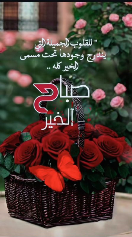 الفانية في حب آل الصدر...