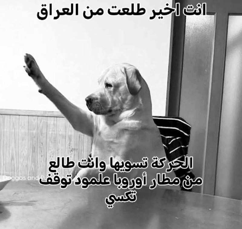 لـن ينـتهـي البـؤس ابـدًا .