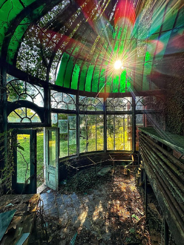 An Abandoned Greenhouse