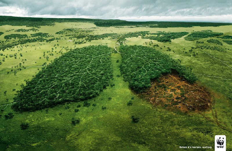 WWF – Lungs of the Earth …