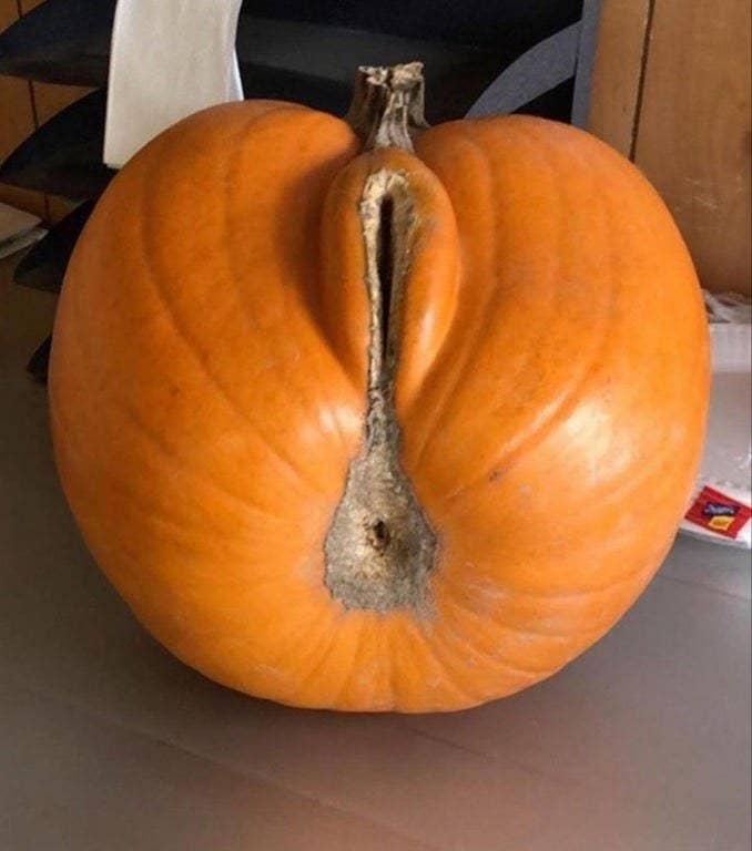 Blursed pumpkin