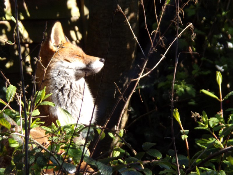 Soaking up the sun