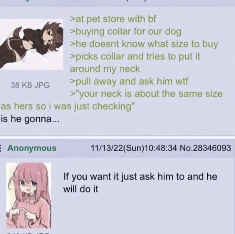 Anonette goes collar shopping