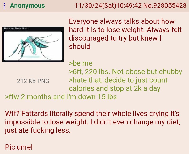 Anon learned how to diet