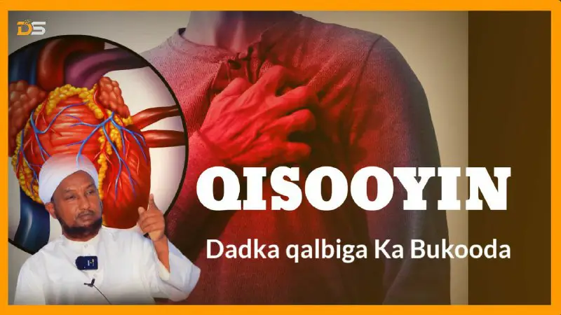 "Dadka Qalbiga-Ka Bukooda Dawo Malaha, Qisooyin …