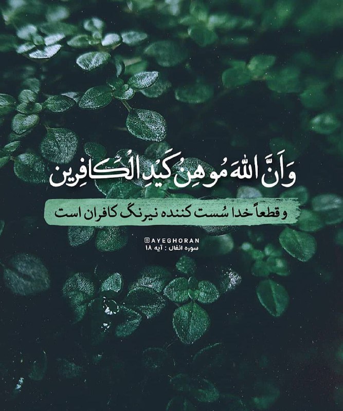 ***✨***[**@Raahemin**](https://t.me/Raahemin)