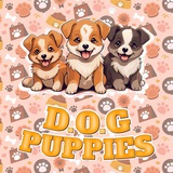 **Whitelist Round Public D.O.G Puppies**