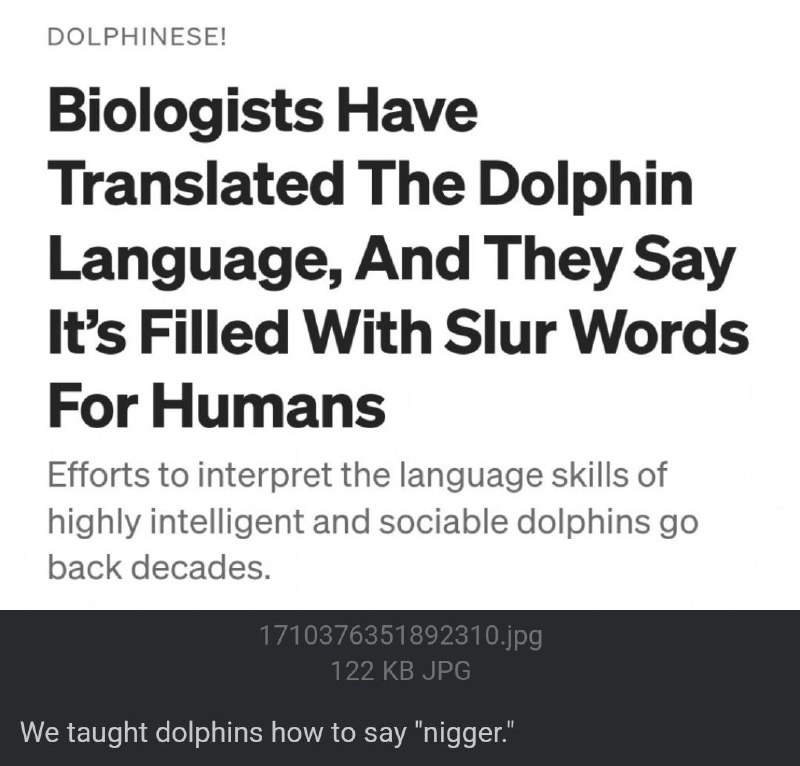 ***🐬*** s are based.