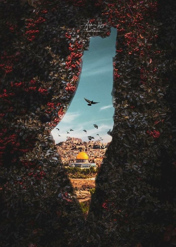 ?ربیــع القــــــوب?